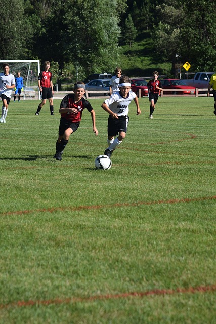 无坚不摧的 无坚不摧的