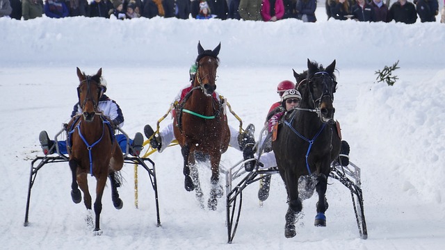 仅帮助他们 仅帮助他们
