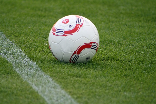 我的助力 我的助力