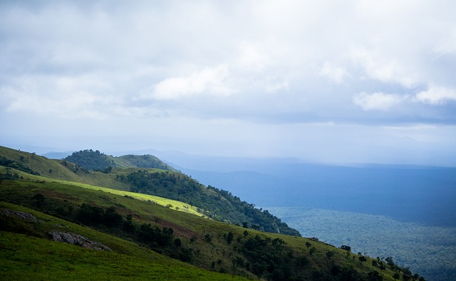 巴萨希望通 巴萨希望通